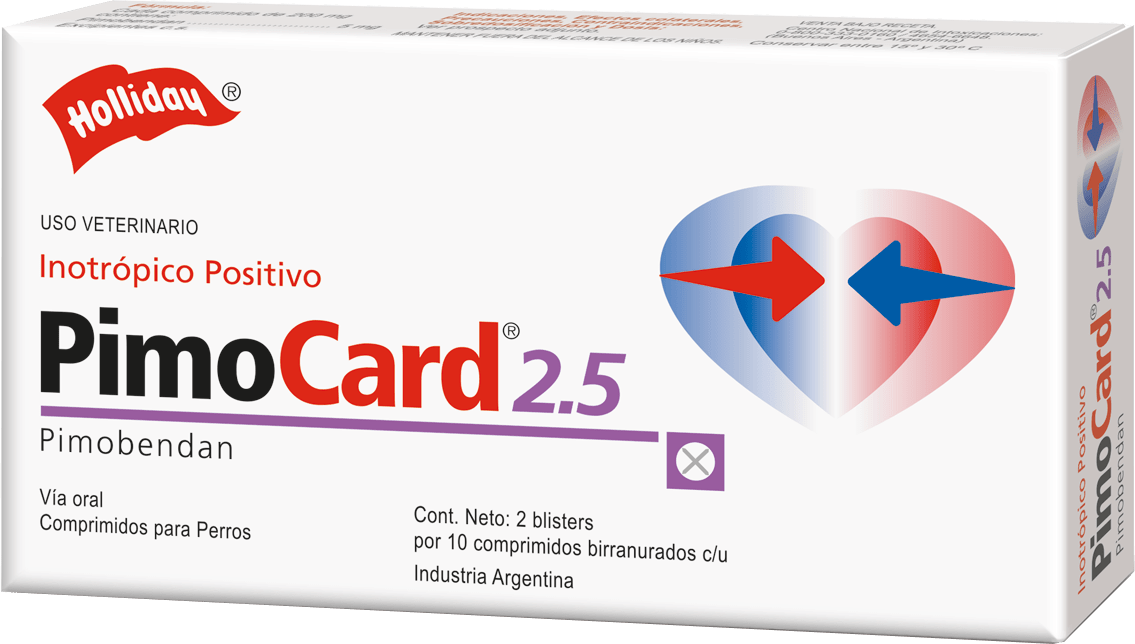 producto de holliday