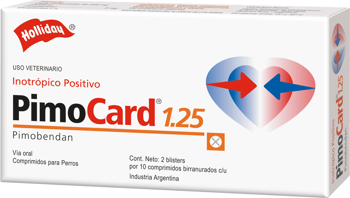 producto de holliday