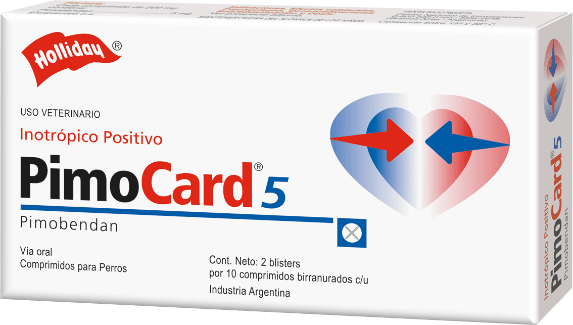 producto de holliday