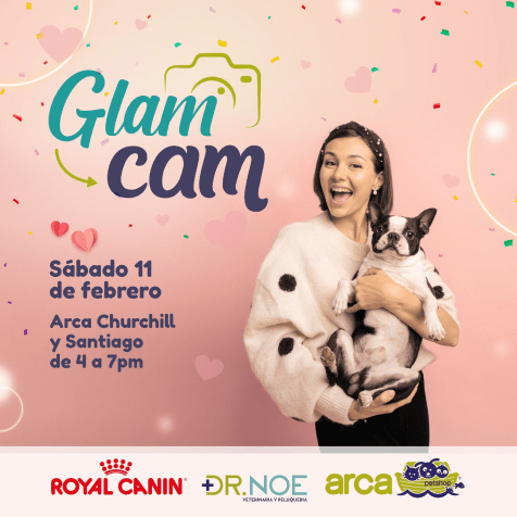 Eveto Glam cam