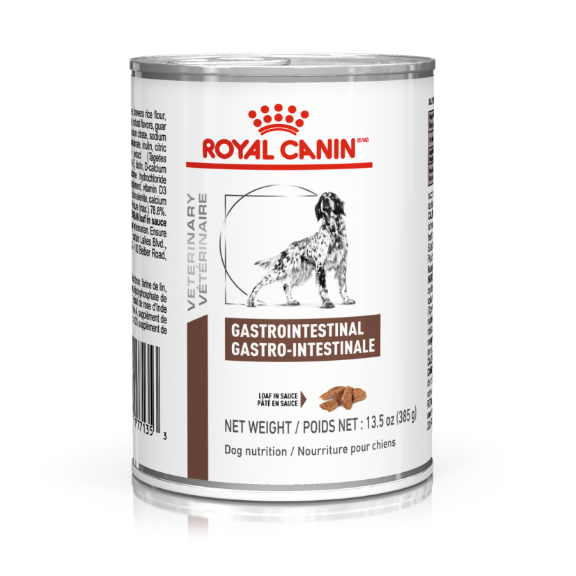 Gastrointestinal Perro Húmedo