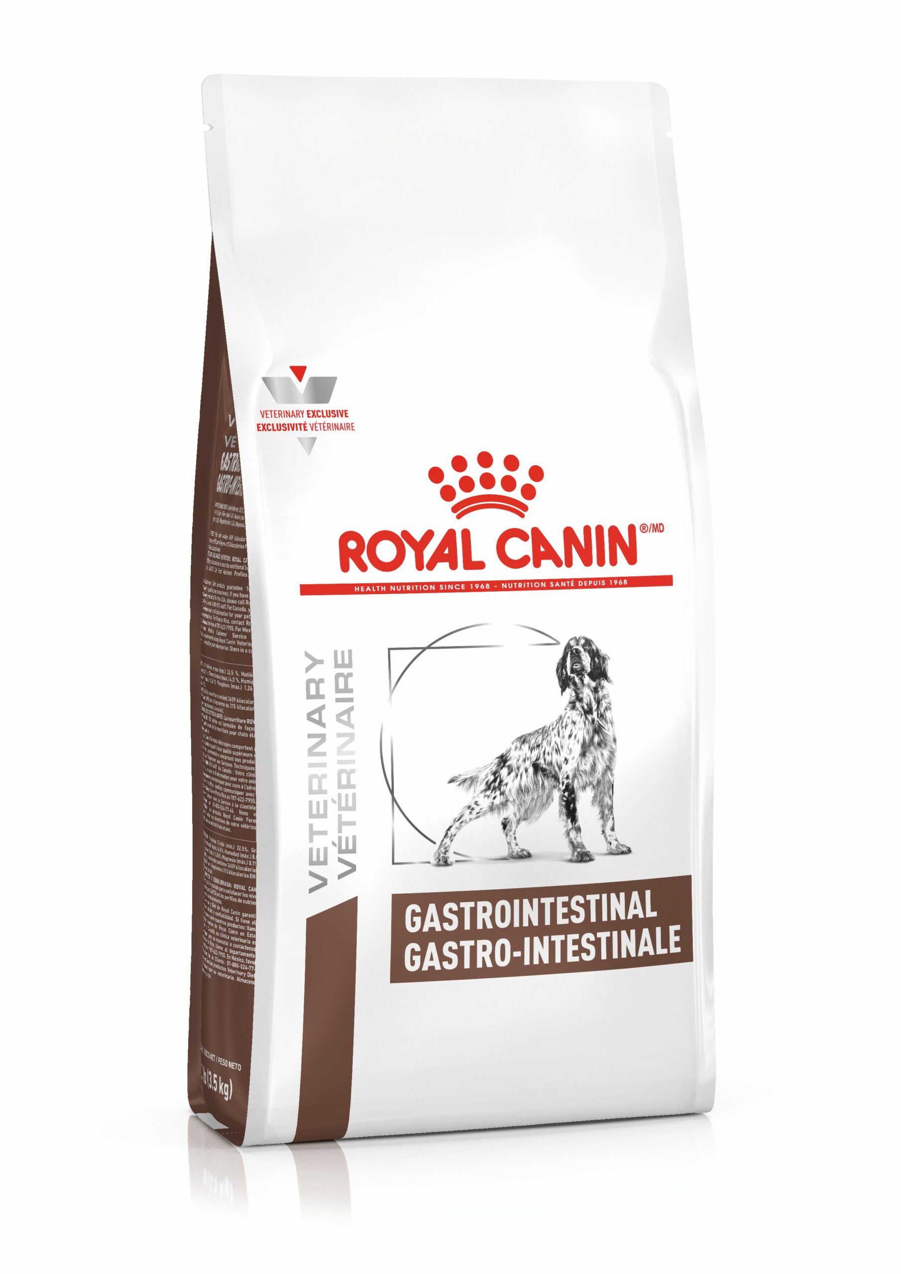 Gastrointestinal Perro