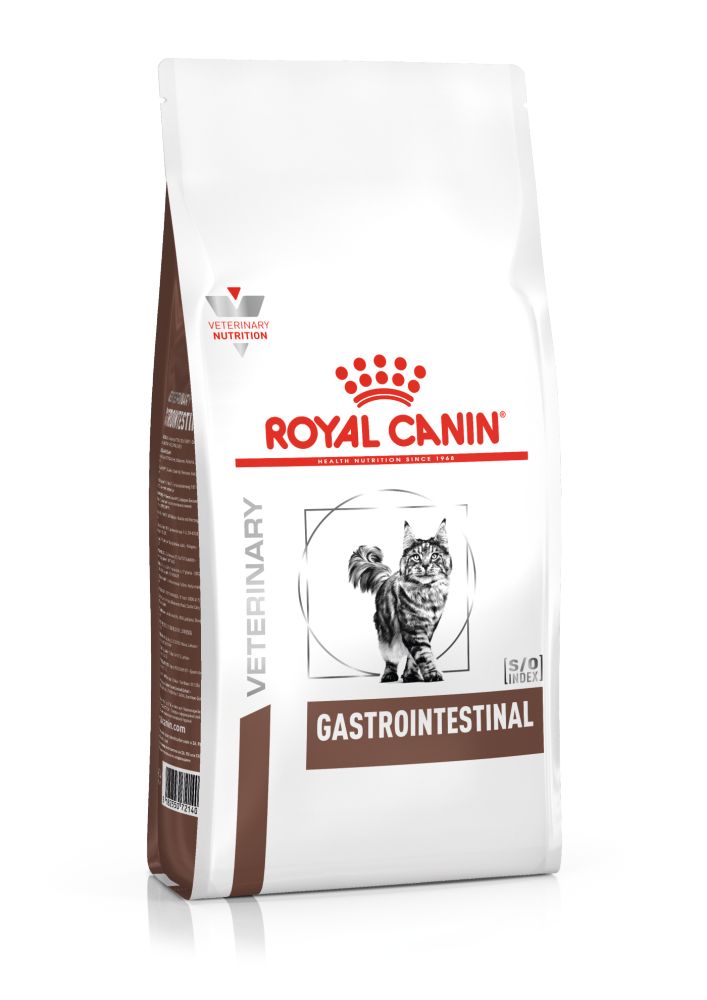 Gastrointestinal Gato