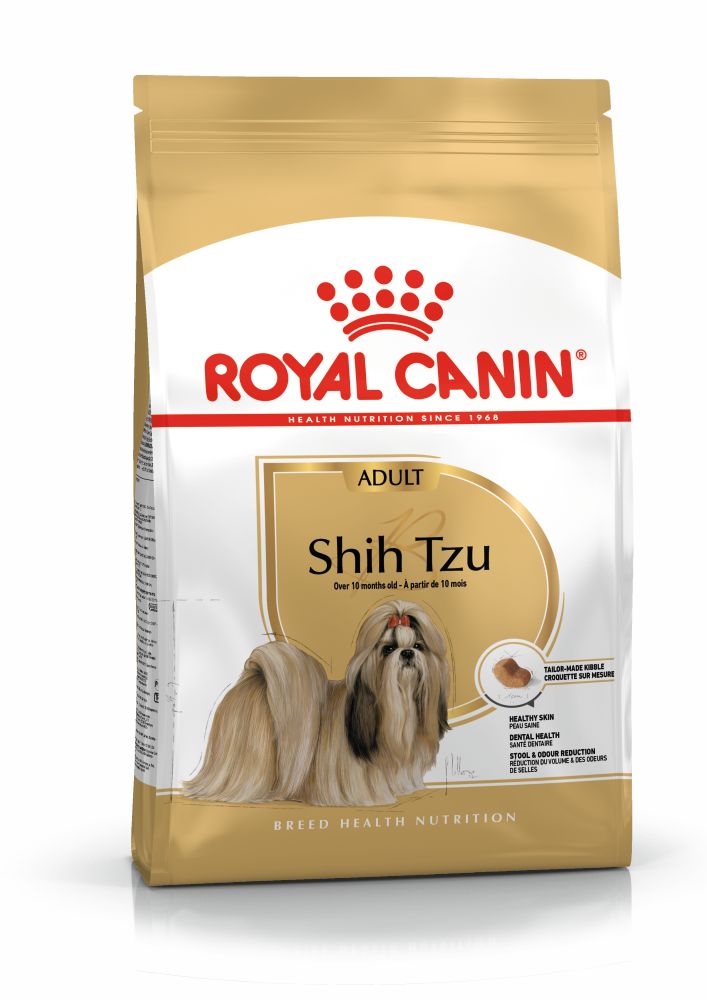 Shih Tzu Adulto