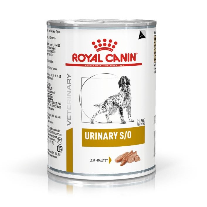 Urinary S/O Perro Húmedo